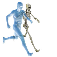 High resolution 3D human for anatomy, medicine and health