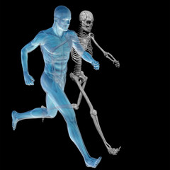 High resolution 3D human ideal for anatomy,medicine and health