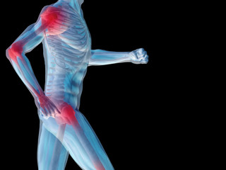 Obraz premium High resolution 3D human for anatomy, medicine and health