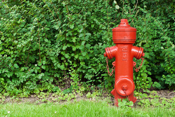 Fototapeta na wymiar O Red Hydrant