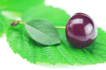cherry and green leaves on white background