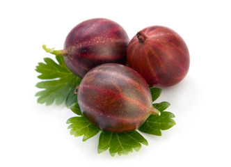 Gooseberry with leaf