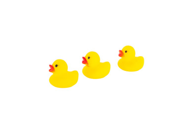 Yellow rubber duck with ducklings
