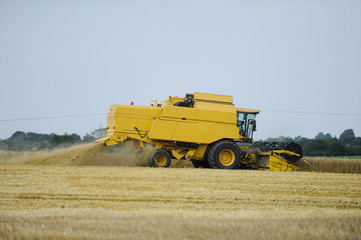 Obraz premium Mähdrescher
