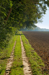 Fototapeta na wymiar Dirt road pó¼nym latem, sezony, rolnictwo, szlaki