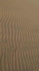 Sand texture