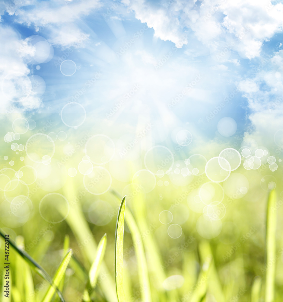 Poster grass and sunny sky spring or summer background