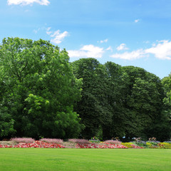 Summer garden with lawn and flower garden