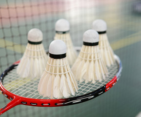 badminton