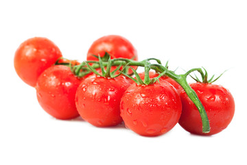 Tomatoes on a green branch