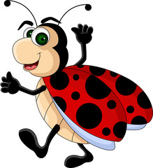 Fototapeta premium funny Ladybug cartoon