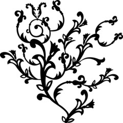 vector floral design element