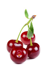 Sweet Fresh Cherries with Green Leaves Isolated on White
