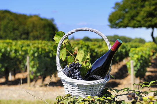 bottle of red wine