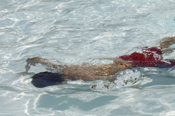 Obraz premium ragazzo immerso in piscina