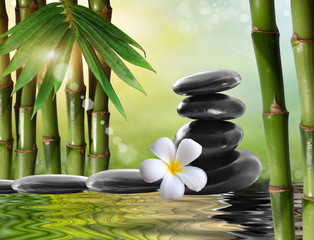 spa stones,bamboo  with frangipani