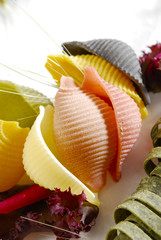 makron muszle kolorowe © npls