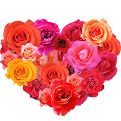 Heart of roses, isolated on white