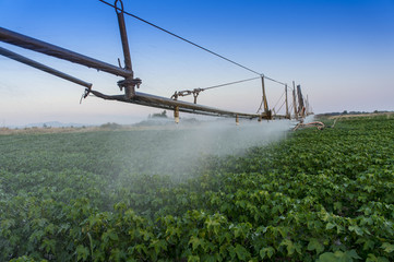 pivoting irrigation system
