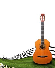 Guitar at the meadow