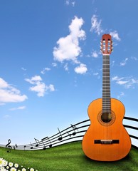Guitar at the country