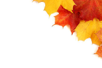 herbst