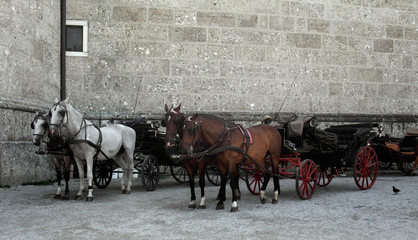 cabs in Salzburg