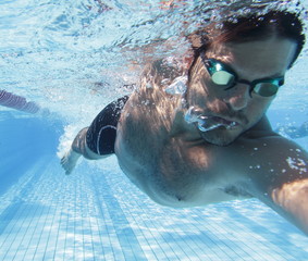 Freestyle swimming - obrazy, fototapety, plakaty