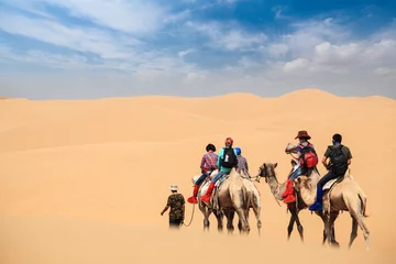 Papier Peint photo Sécheresse camel caravan in desert