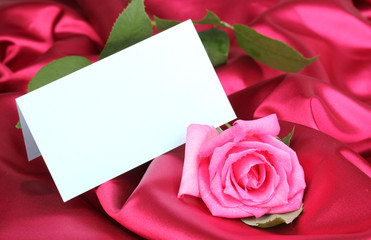Beautiful rose on dark pink cloth