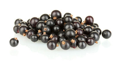 Fresh black currant isolated on white