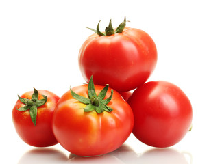 tomatoes isolated on white