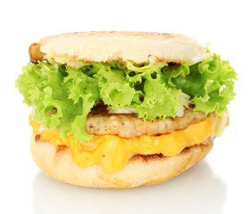 tasty sandwich, isolated on white