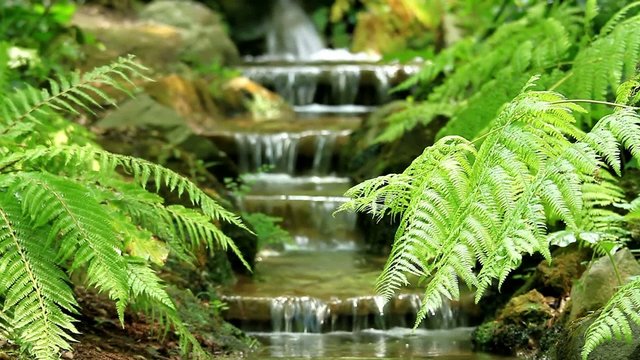 Beautiful veil cascading waterfall, mossy rocks