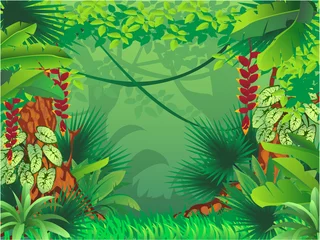 Crédence de cuisine en verre imprimé Animaux de la forêt forêt tropicale exotique