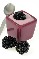 Verrine aux fruits des bois