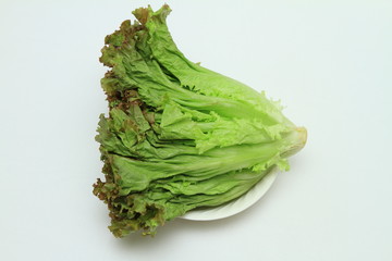 レタス