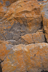 Rock detail on Gower Peninsula