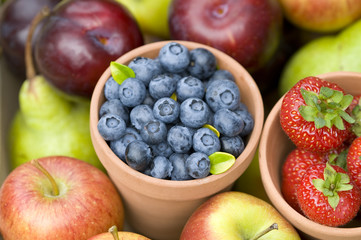 summer fruit produce