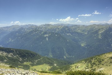 Naklejka premium Rila 40