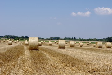 Le champ de bottes de paille