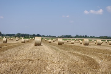 Les bottes de paille