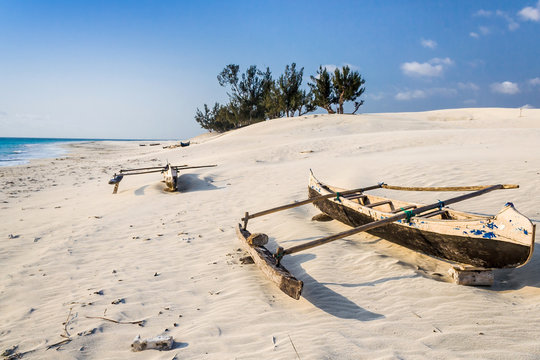 Dunes and wild beach