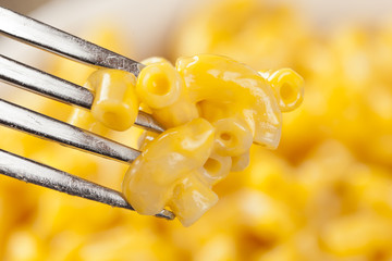 Macaroni and Cheese in a bowl © Brent Hofacker