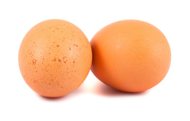 Brown chicken eggs