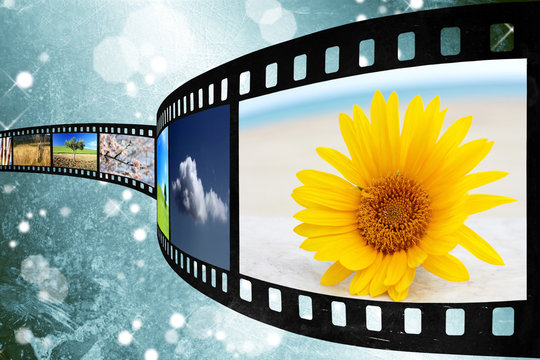 Pellicola films