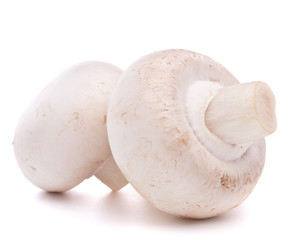 Champignon mushroom