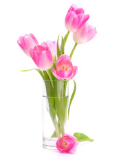 Pink tulips bouquet in vase isolated on white background