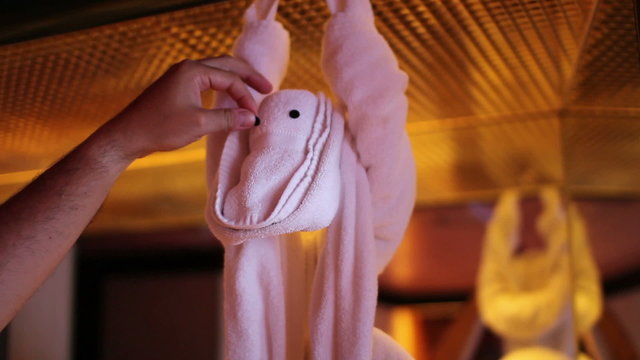 Towel Monkey