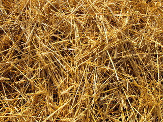 straw background